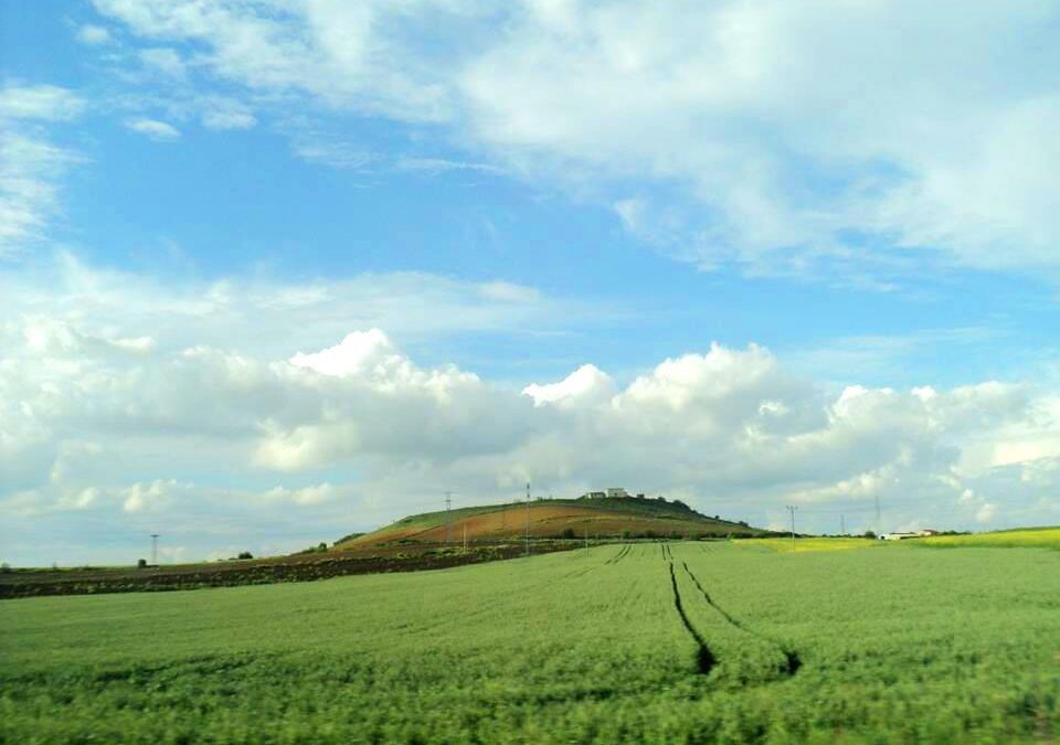 Windows XP на европска Турција